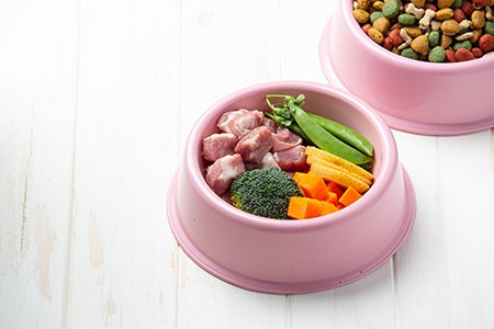alimentacion adecuada para perros
